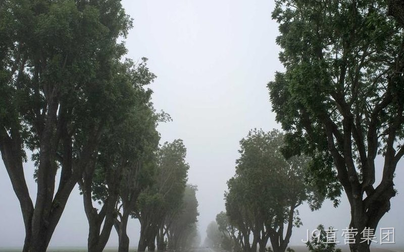 氮化镓切入变频家电与轻型电驱 J9直营集团GaN方案助压缩机与风机静音节能
